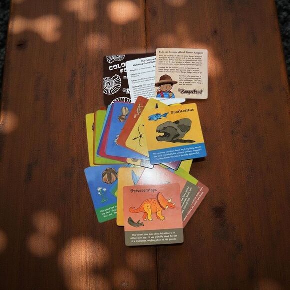The Colossal Fossil Matching Card Game - Picture 1 of 5